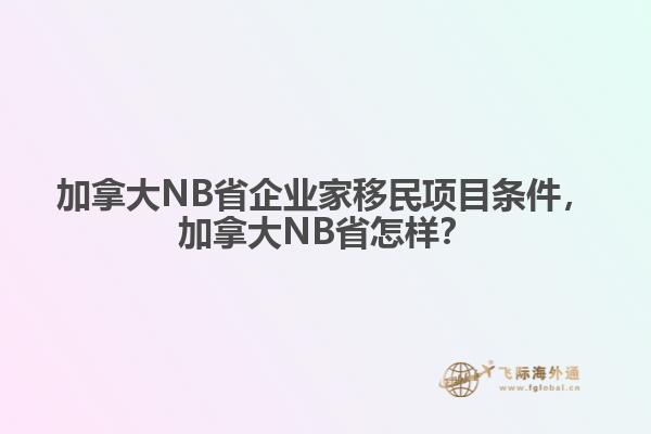 加拿大NB省企業(yè)家移民項目條件，加拿大NB省怎樣？