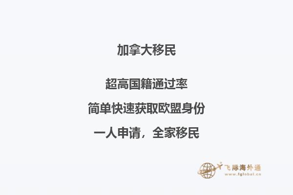 加拿大NB省企業(yè)家移民申請條件，優(yōu)勢怎么樣？