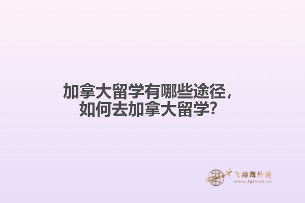 加拿大留學(xué)有哪些途徑，如何去加拿大留學(xué)？