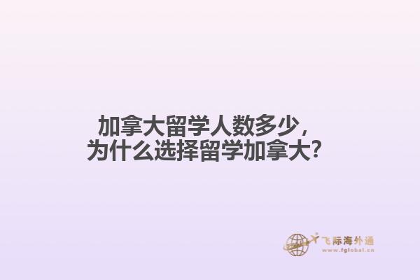 加拿大留學人數(shù)多少，為什么選擇留學加拿大？