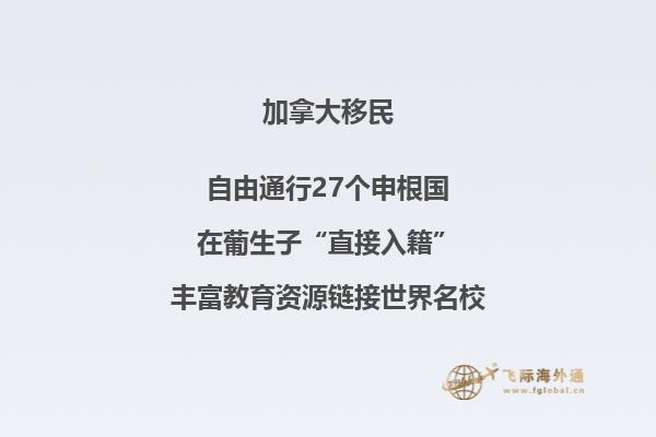 加拿大NB省企業(yè)家移民申請(qǐng)條件如何，你能申請(qǐng)嗎？