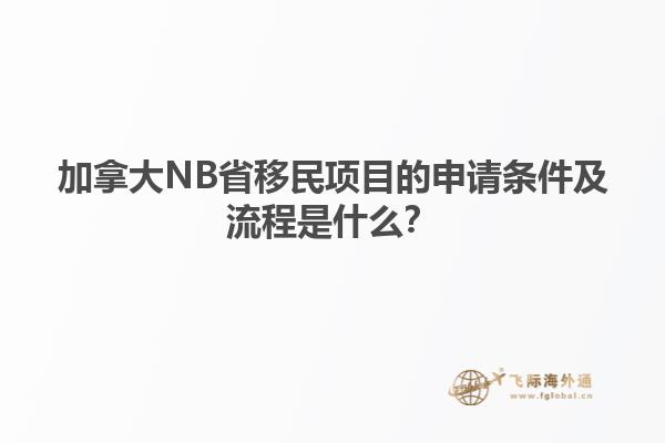 加拿大NB省移民項目的申請條件及流程是什么？