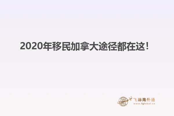 2020年移民加拿大途徑都在這！