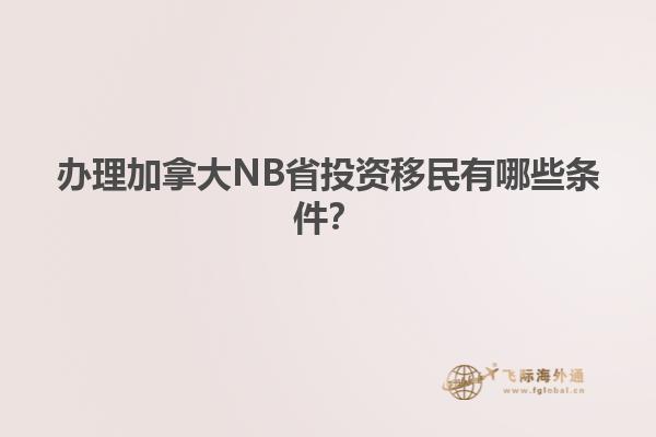 辦理加拿大NB省投資移民有哪些條件？