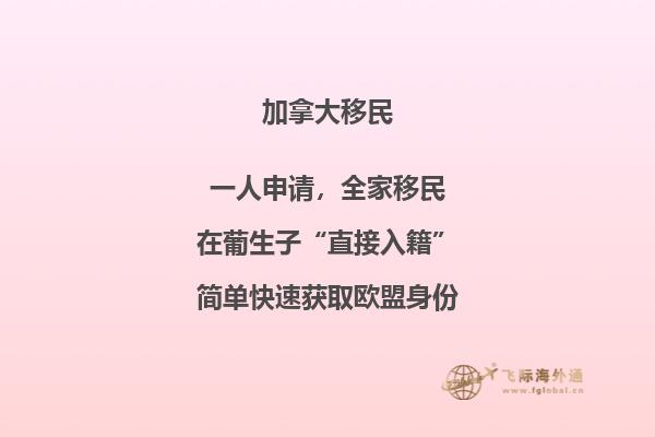 加拿大留學簽證如何辦理流程小紅書