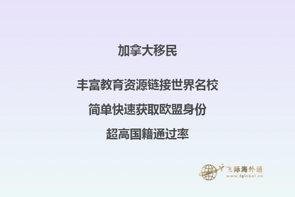 加拿大約克大學相當于國內(nèi)什么大學