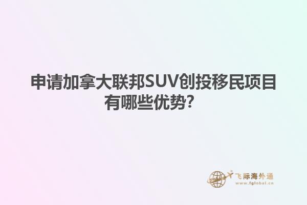 申請加拿大聯(lián)邦SUV創(chuàng)投移民項目有哪些優(yōu)勢？