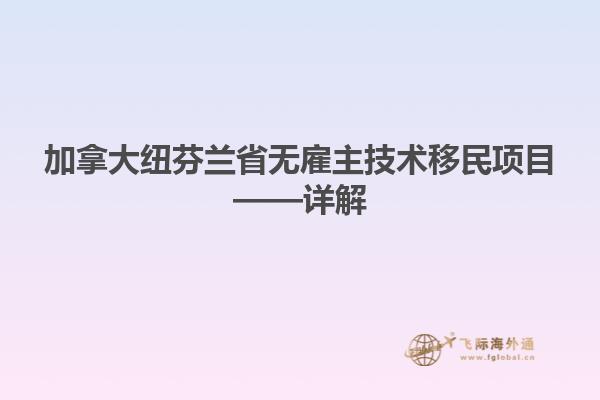 加拿大紐芬蘭省無雇主技術移民項目——詳解