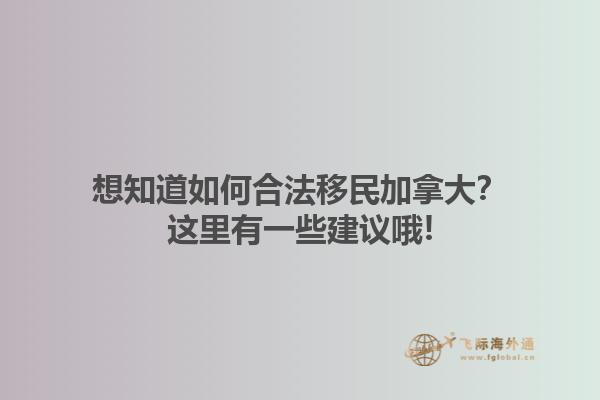 想知道如何合法移民加拿大？這里有一些建議哦!